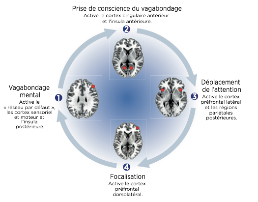 Méditation de pleine conscience pour gérer son stress et ses émotions